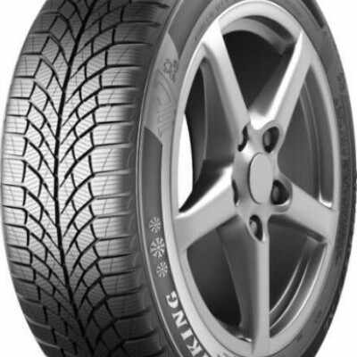 VIKING WinTech NewGen