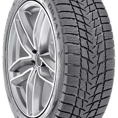 RADAR Dimax Alpine 255/35 R19